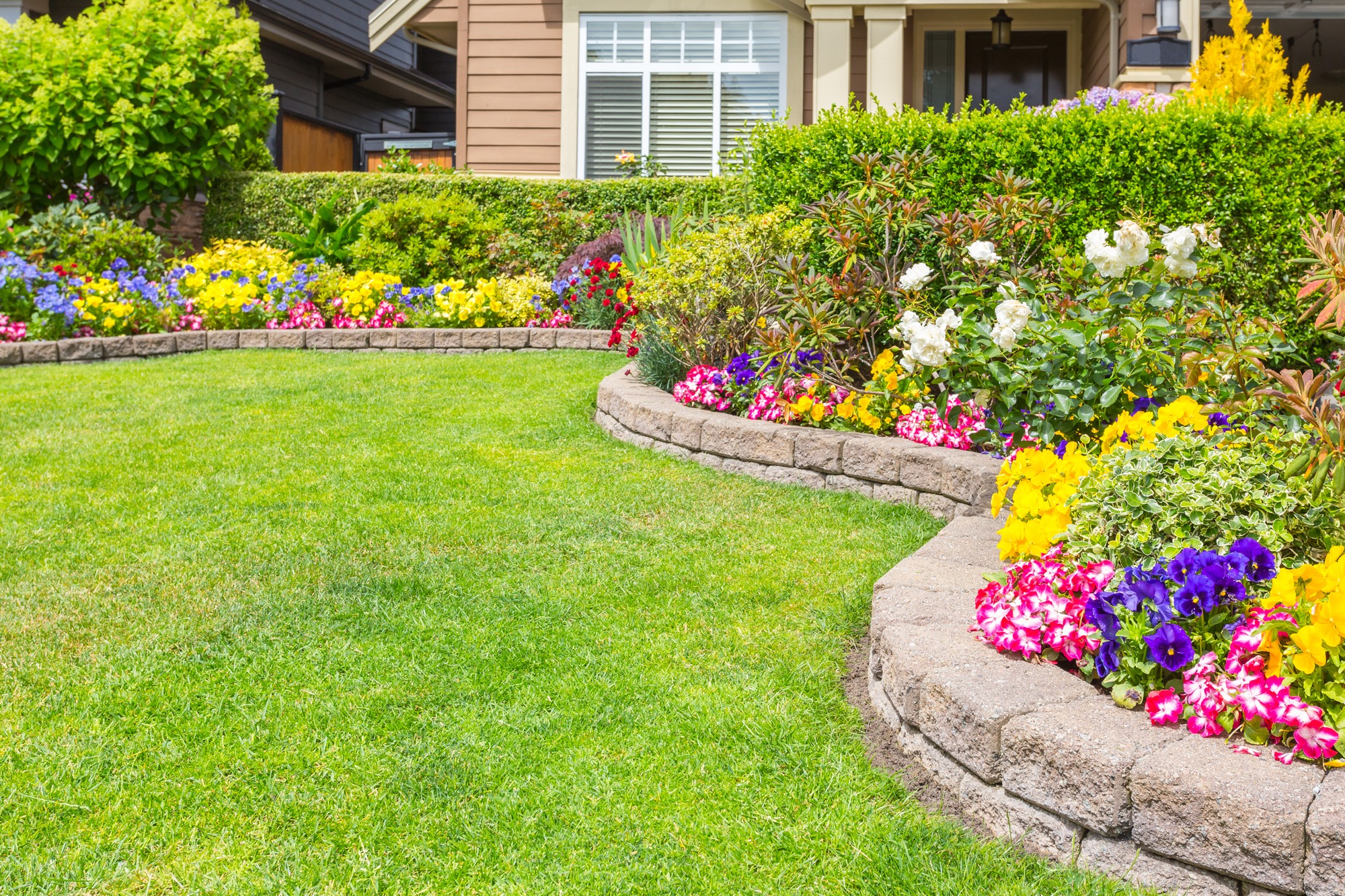 Trimmed and manicured garden in front of a luxury house